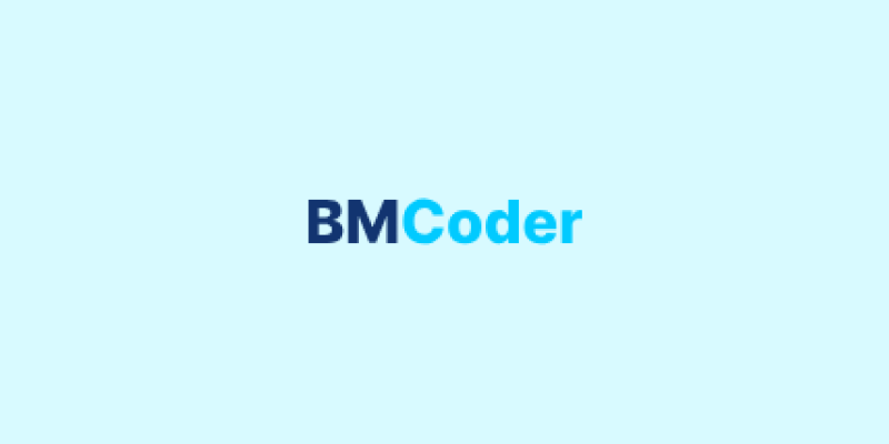 BM Coder IT Company India vector image